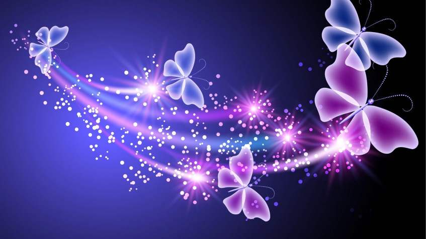 Butterflies Hd Full HD 1080p Wallpaper 1920x1080px