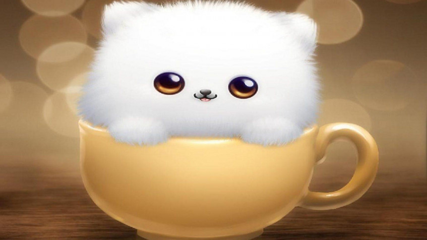 Cute Hd Full HD 1080p Wallpaper 1920x1080px