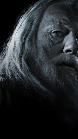 Dumbledore 4k Phone Wallpaper 2160x3840px