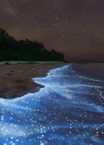 Sea Of Stars Android Wallpaper Image 2000x2791px