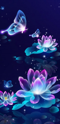 Butterfly Mobile Background 1080x2220px