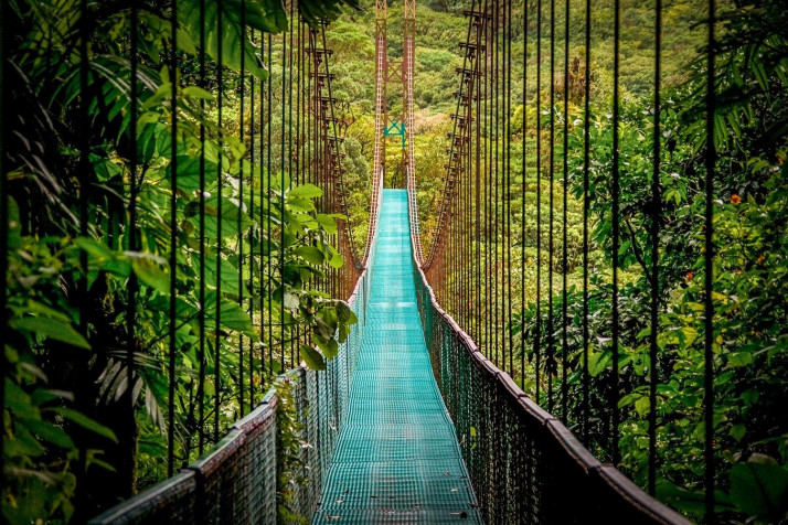 Monteverde Cloud Forest Laptop Wallpaper 1500x1000px