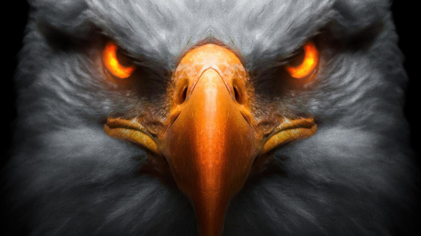  Full HD 1080p Wallpaper 1920x1080px
