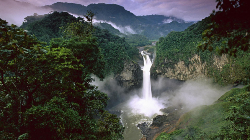 The Amazon Forest Full HD 1080p Wallpaper 1920x1080px