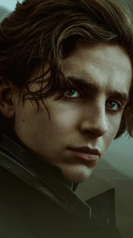 Timothee Chalamet 4k Phone Wallpaper 2160x3840px