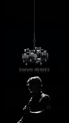 Shawn Mendes Wallpaper for iPhone 1080x1920px