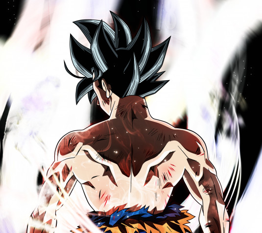 Goku Ultra Instinct Desktop Background 1920x1707px