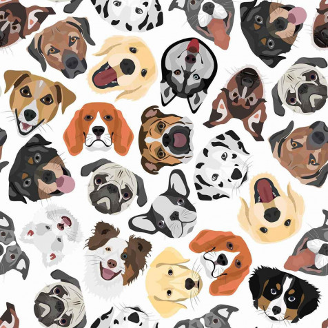 Dog Phone Background Image 1200x1200px