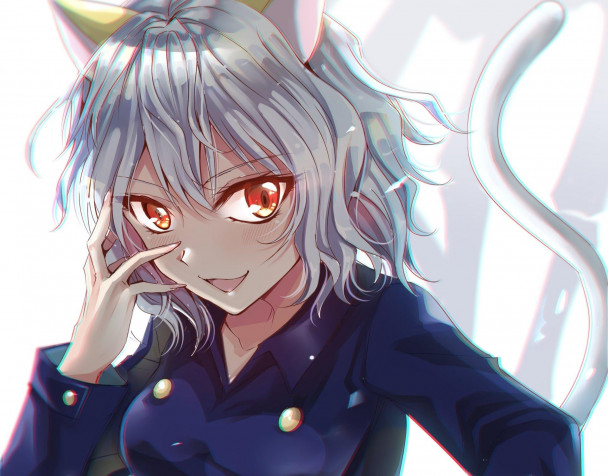 Neferpitou Desktop Wallpaper 1920x1504px