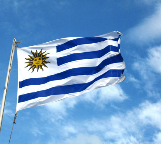 Uruguay Flag MacBook Background 1514x1352px