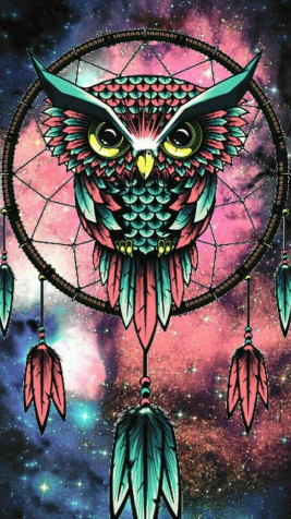 Owl Mobile Wallpaper 1080x1920px