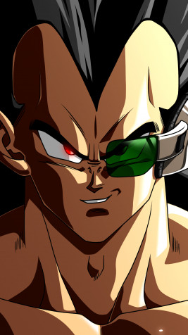 Raditz iPhone Wallpaper Image 1440x2560px