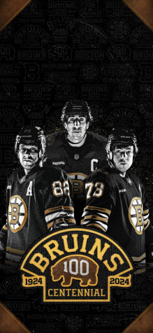 Boston Bruins Phone Background Image 946x2048px