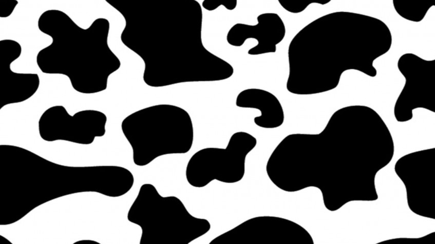 Cow Print Full HD 1080p Wallpaper 1920x1080px