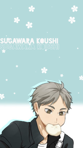 Koushi Sugawara Mobile Wallpaper 800x1422px