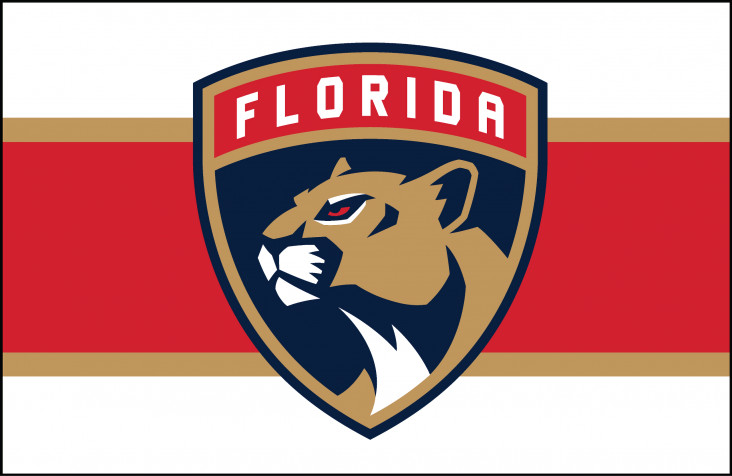 Florida Panthers Wallpaper Image 2560x1664px