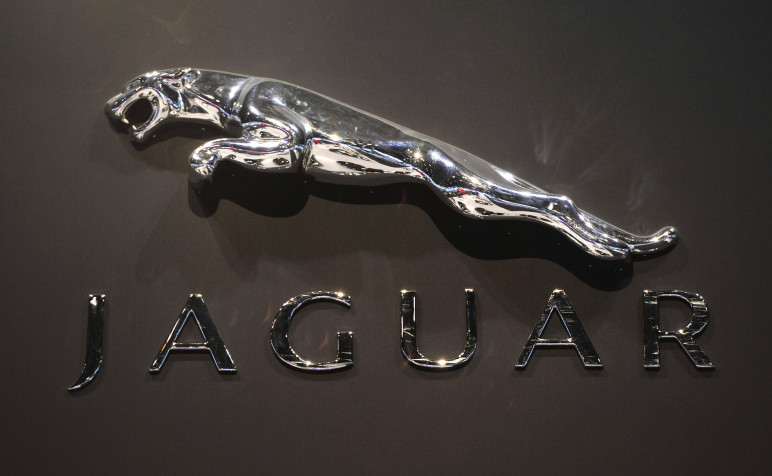 Jaguar HD Wallpaper 3500x2158px