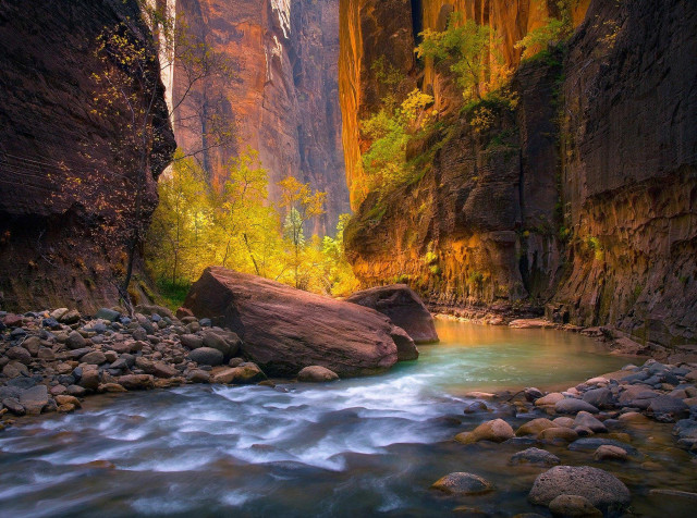 Zion National Park Wallpaper Image 1800x1339px