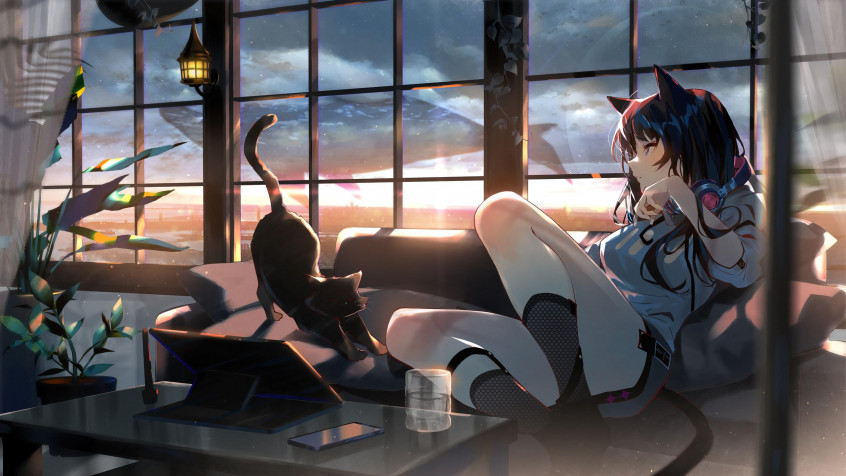 Anime Cat Girl 2k QHD Wallpaper 2560x1440px