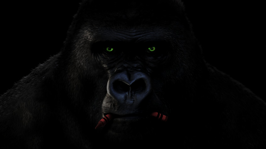 Gorilla 4k UHD Wallpaper 3840x2160px