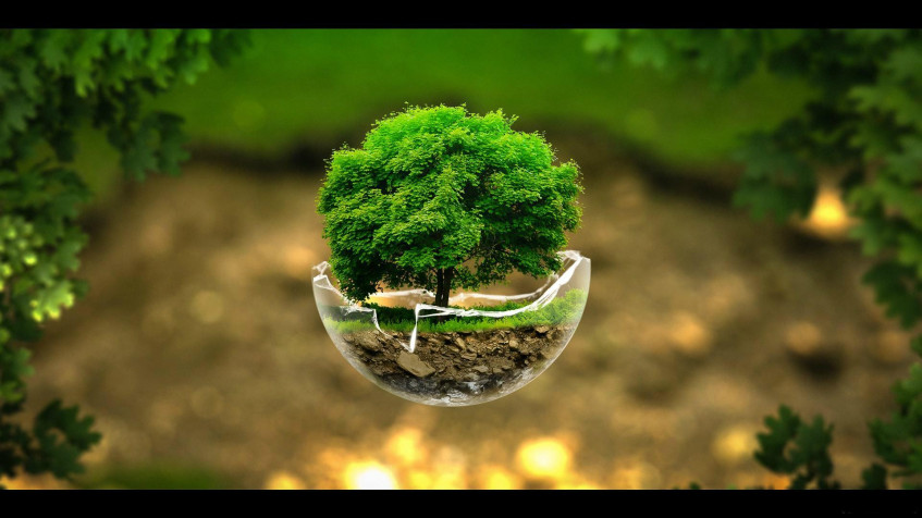 Earth Day Full HD 1080p Wallpaper 1920x1080px