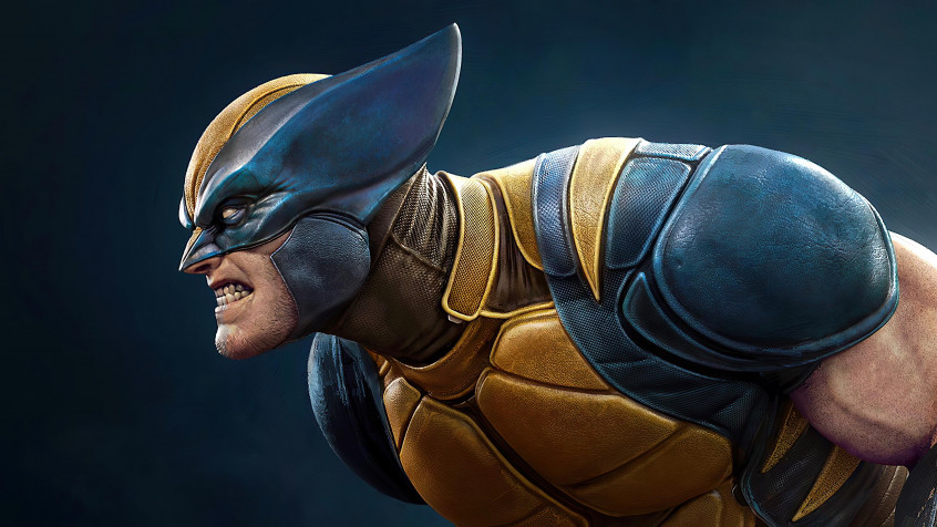 Wolverine Hd 4k UHD Wallpaper 3840x2160px