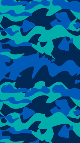 Bape Camo iPhone Wallpaper 1080x1920px