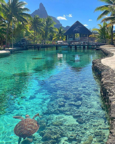 Bora Bora iPhone Wallpaper 1349x1687px