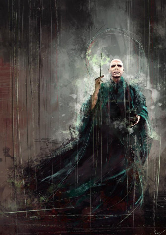 Lord Voldemort Phone Background Image 1200x1700px