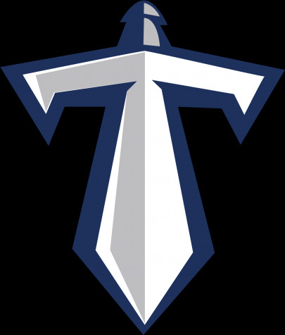 Tennessee Titans Logo Android Wallpaper Image 1522x1789px