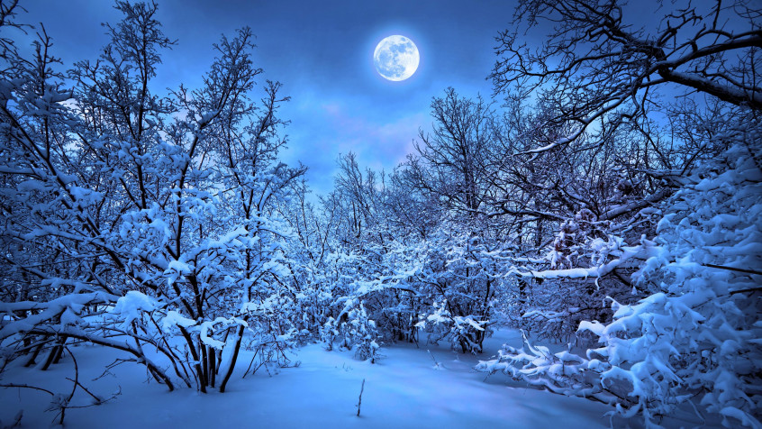 Winter 4k UHD Wallpaper 3840x2160px