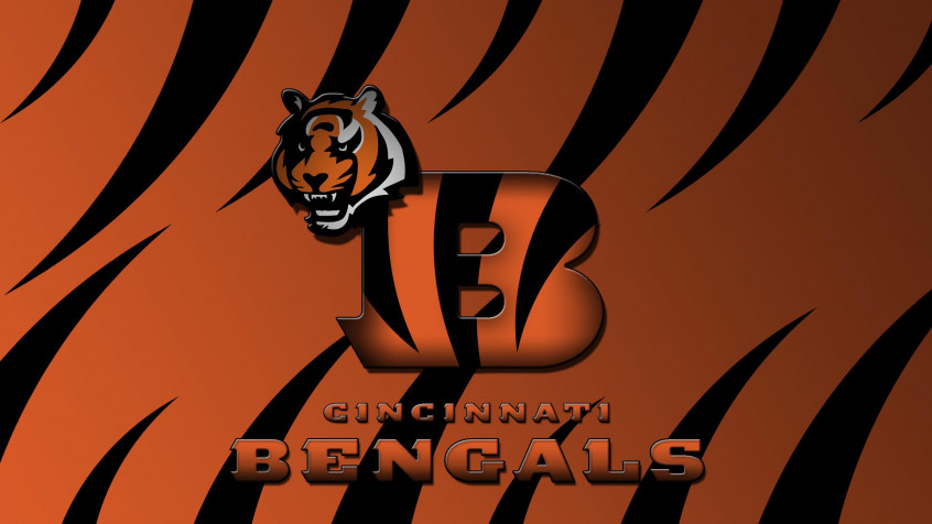 Cincinnati Bengals Logo 2k QHD Wallpaper 2560x1440px