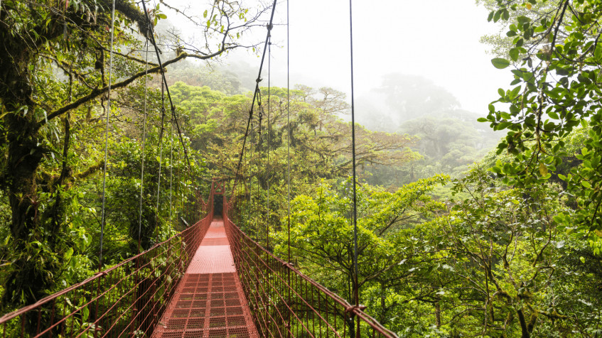 Monteverde Cloud Forest Laptop Wallpaper 1600x900px