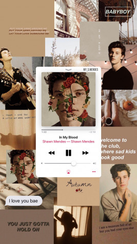 Shawn Mendes Android Wallpaper Image 1591x2829px