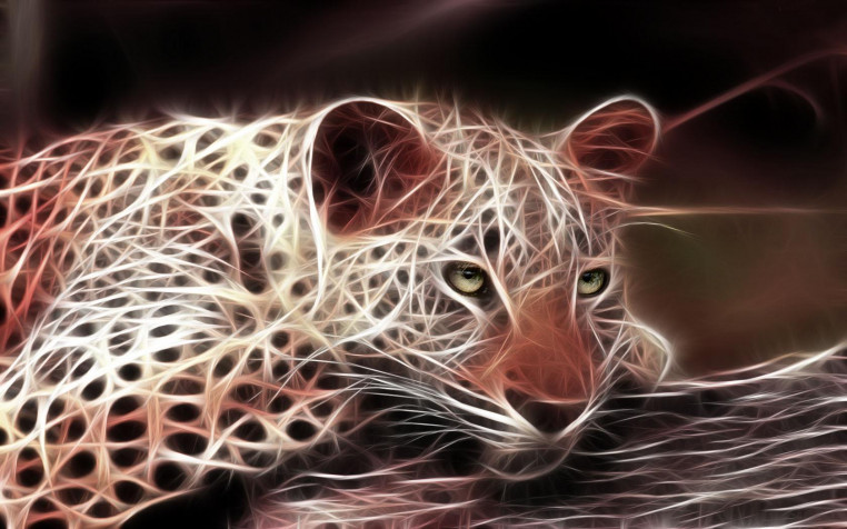 Gepard Laptop Background 1680x1050px