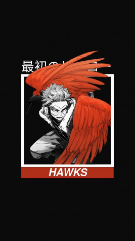 Keigo Hawks Phone Background Image 1080x1920px