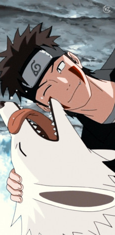 Kiba iPhone Background Image 1080x2200px