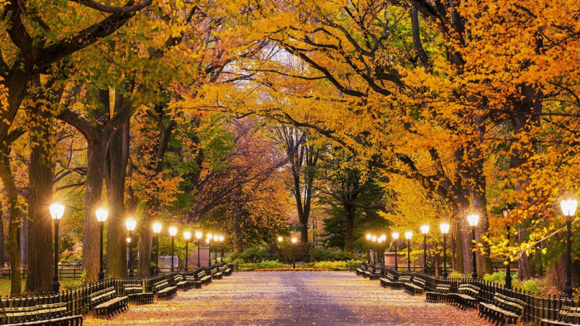 Central Park Full HD 1080p Wallpaper 1920x1080px