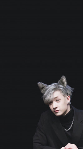 Bang Chan iPhone Background 1948x3464px