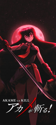 Akame Ga Kill Mobile Background 1440x3200px