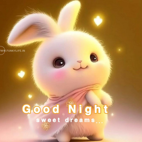 Good Night Images Phone Background Image 1917x1920px