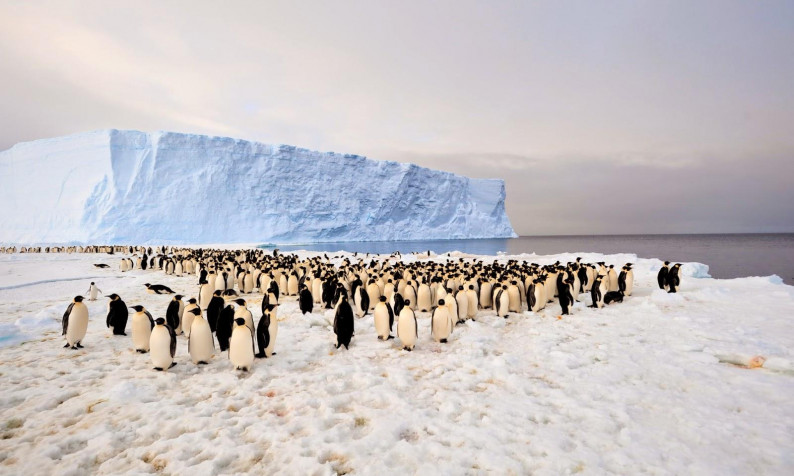 Antarctica Desktop Background 1600x960px