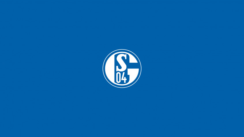 Fc Schalke 2k QHD Wallpaper 2560x1440px