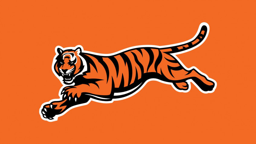 Cincinnati Bengals Logo Full HD 1080p Wallpaper 1920x1080px