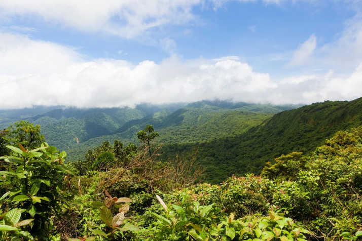 Monteverde Cloud Forest Desktop HD Wallpaper 1440x960px