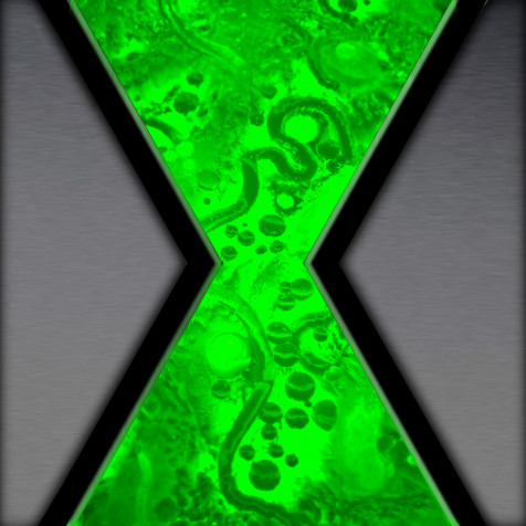 Omnitrix Phone Background Image 1656x1656px