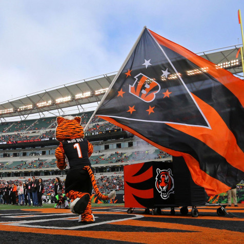 Cincinnati Bengals Logo Android Wallpaper 1400x1400px