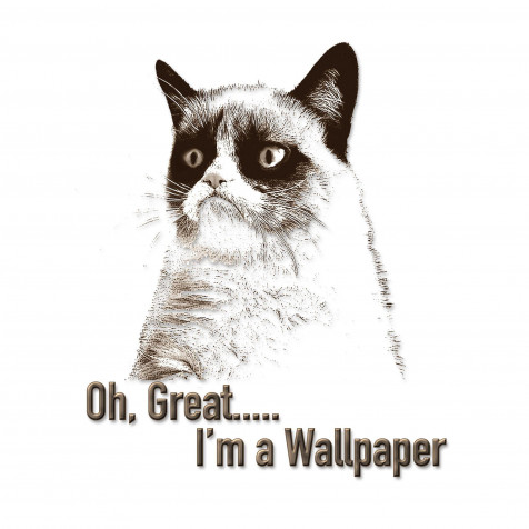 Grumpy Cat Mobile Background 2048x2048px