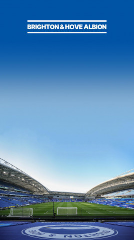 Brighton Fc iPhone Background 1080x1920px