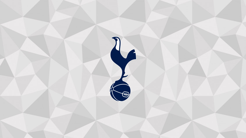 Tottenham Hotspur Fc 2k QHD Wallpaper 2560x1440px